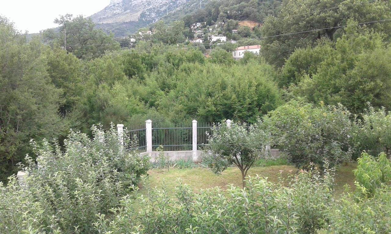 Danijela Apartmani Canj Exterior photo